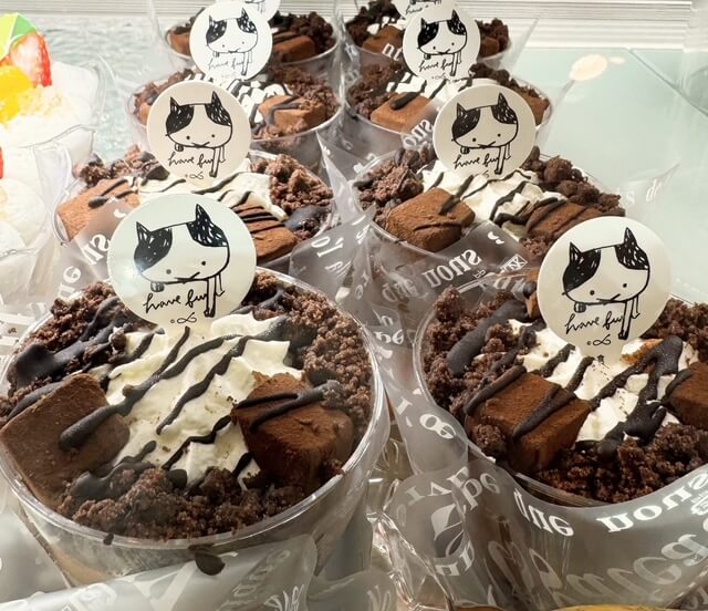 生チョコショコラ